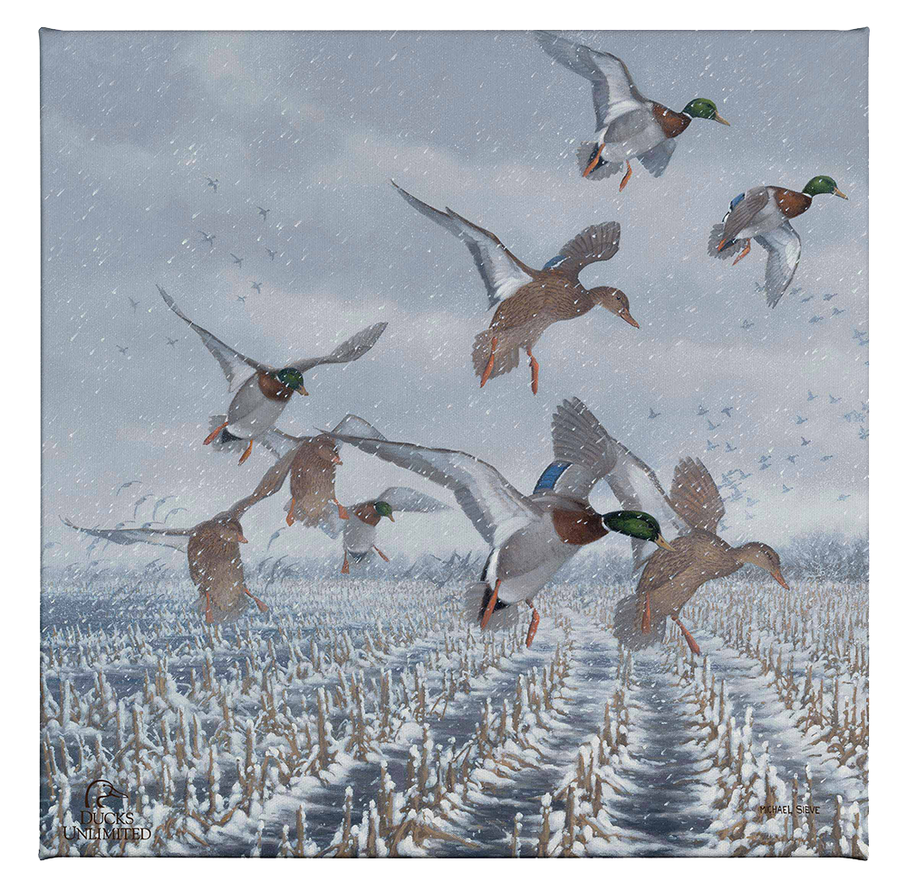 Northern  Flight - Mallards Gallery Wrapped Canvas - Official Ducks Unlimited Art
