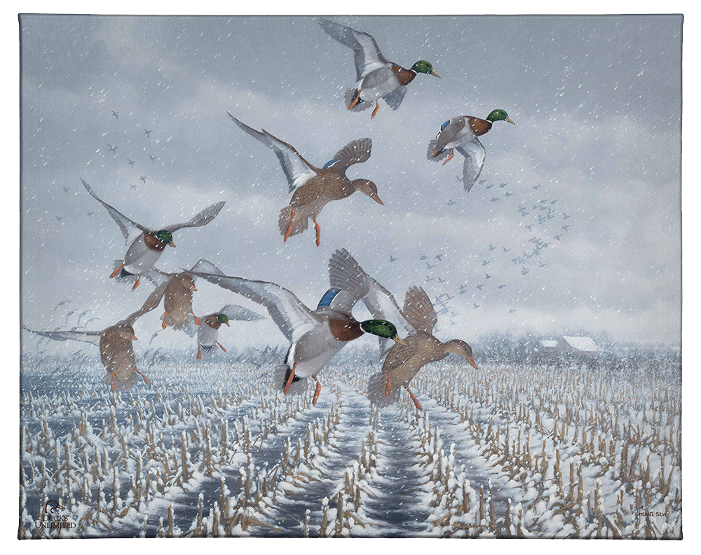 Northern  Flight - Mallards Gallery Wrapped Canvas - Official Ducks Unlimited Art