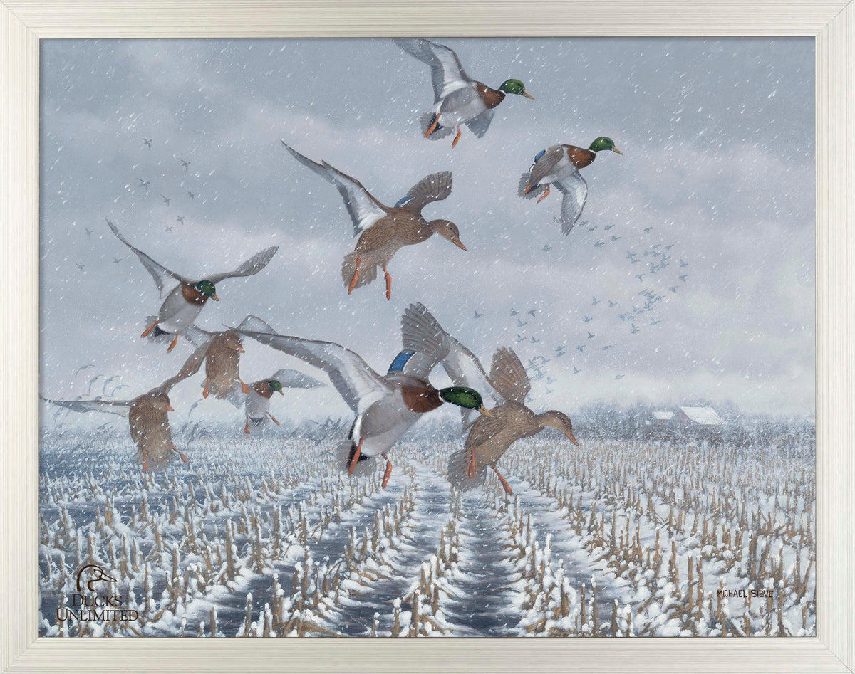 Northern  Flight - Mallards Art Prints - Official Ducks Unlimited Art