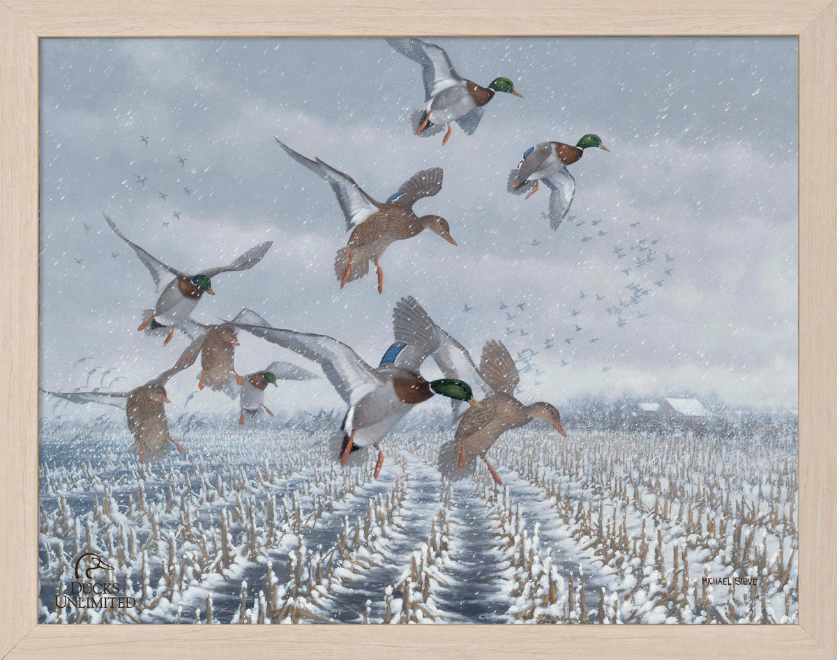 Northern  Flight - Mallards Art Prints - Official Ducks Unlimited Art