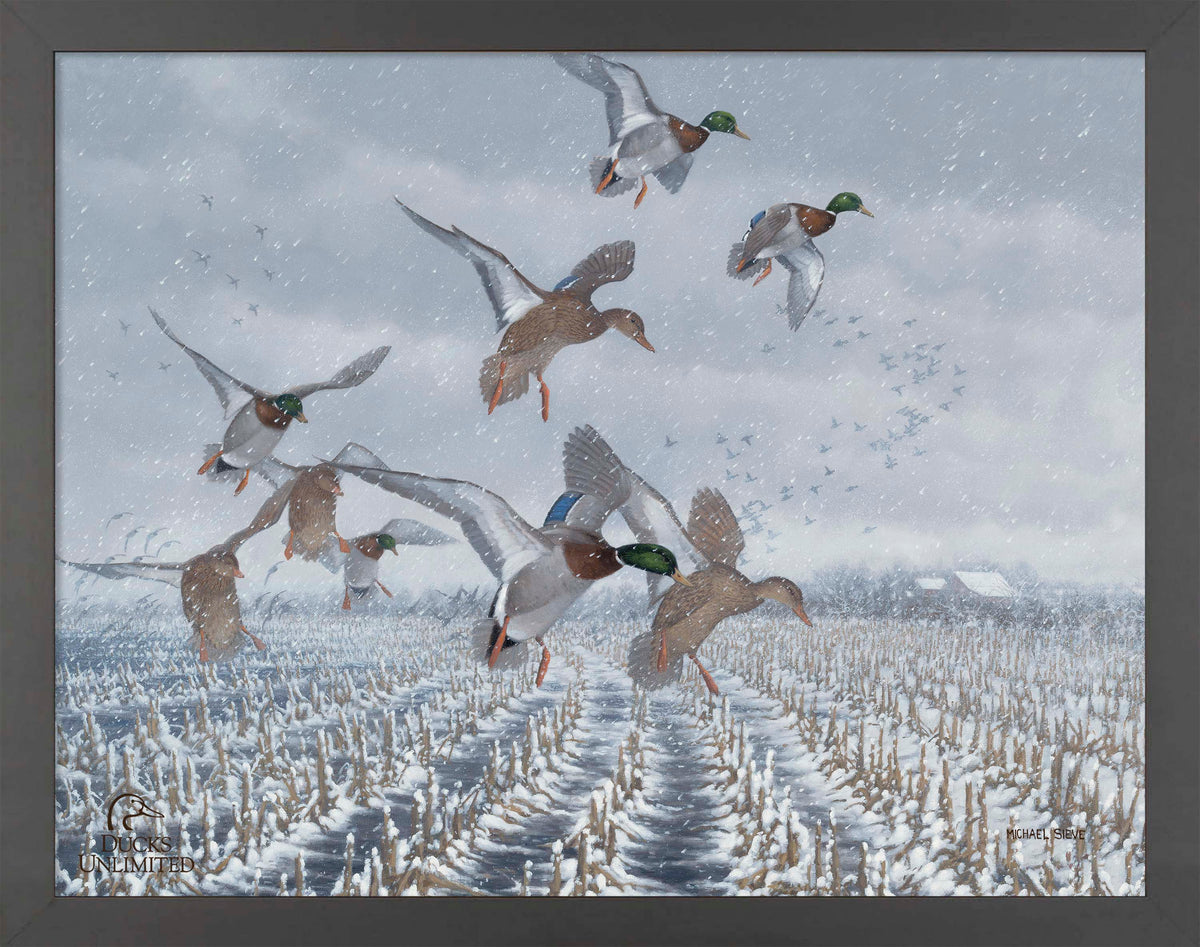 Northern  Flight - Mallards Art Prints - Official Ducks Unlimited Art