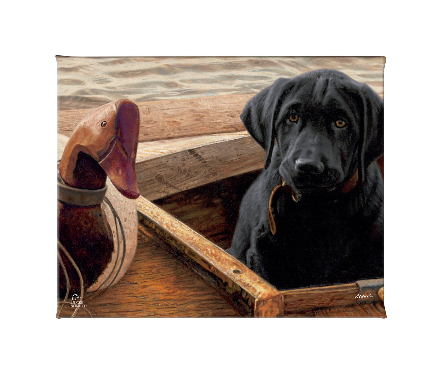 Old School-Black Lab Gallery Wrapped Canvas - Official Ducks Unlimited Art