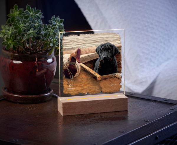 Old School Black Lab  6.37" x 6" Acrylic Nightlight - Official Ducks Unlimited Art
