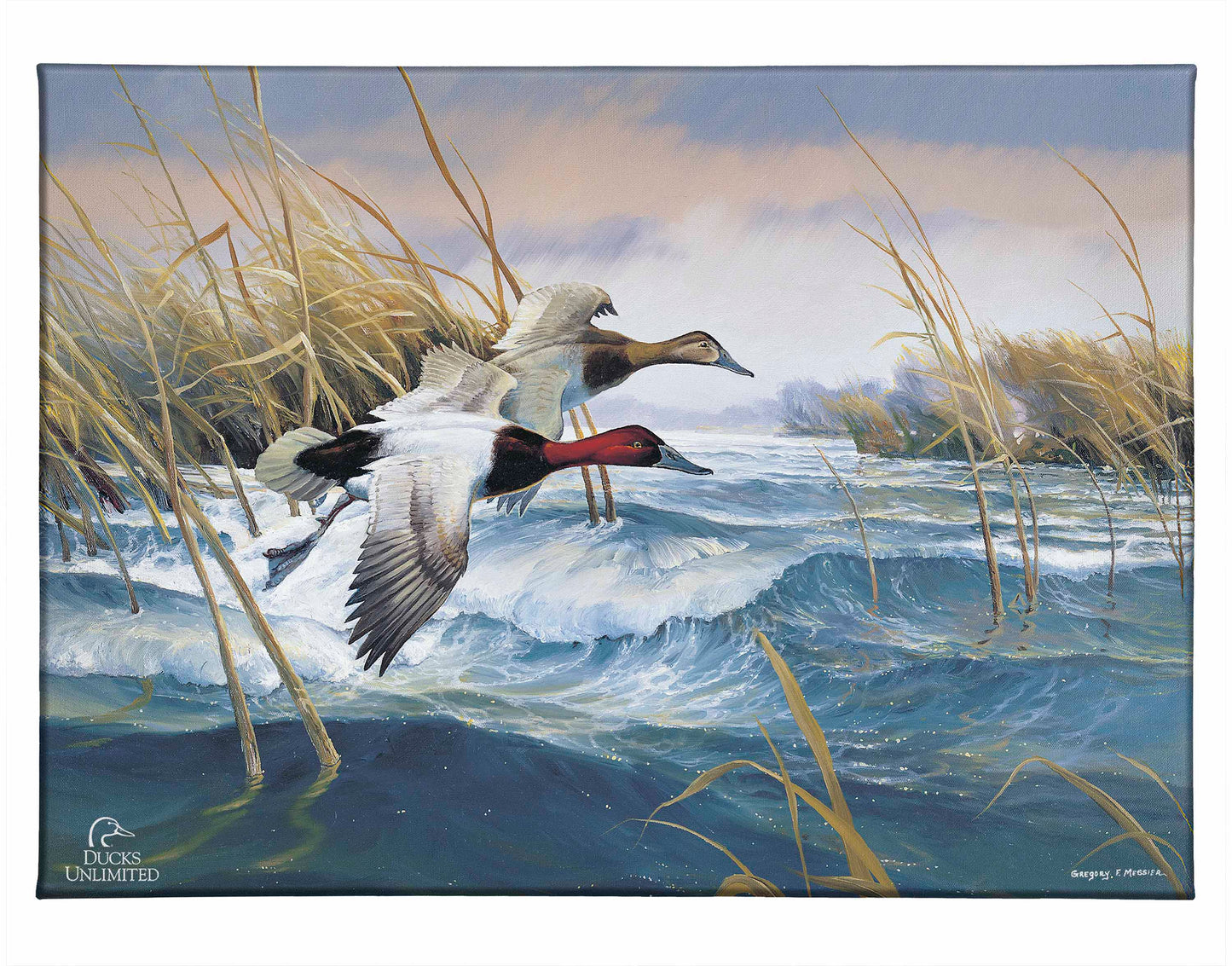On the Deck Canvasbacks Gallery Wrapped Canvas - Official Ducks Unlimited Art
