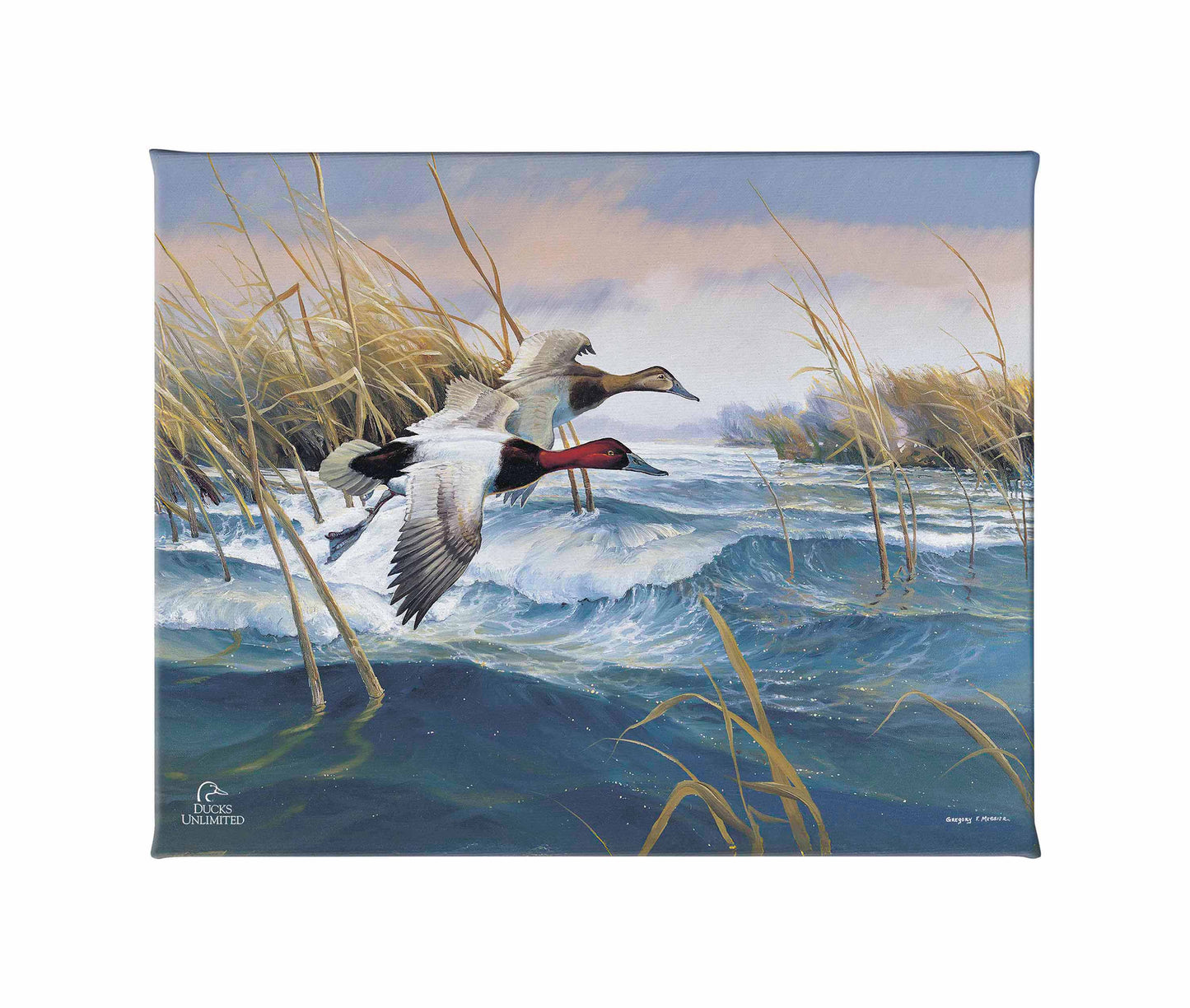 On the Deck Canvasbacks Gallery Wrapped Canvas - Official Ducks Unlimited Art