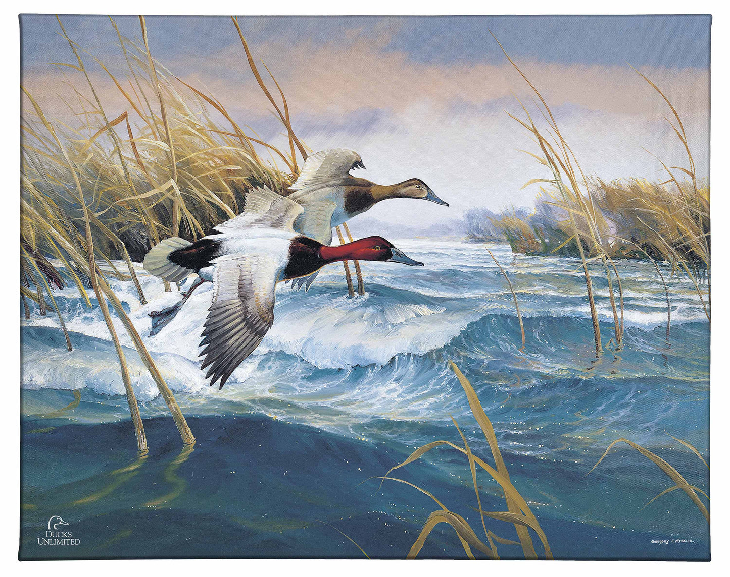On the Deck Canvasbacks Gallery Wrapped Canvas - Official Ducks Unlimited Art