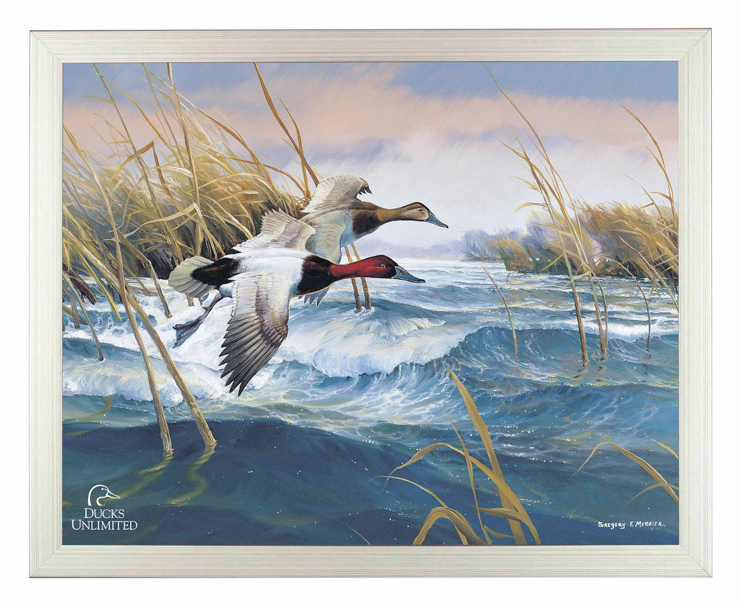 On the Deck  Canvasbacks  Art Prints - Official Ducks Unlimited Art