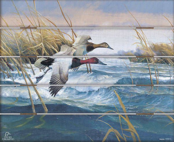 On the Deck  Canvasbacks  18" x 22" Pallet Wall Art - Official Ducks Unlimited Art