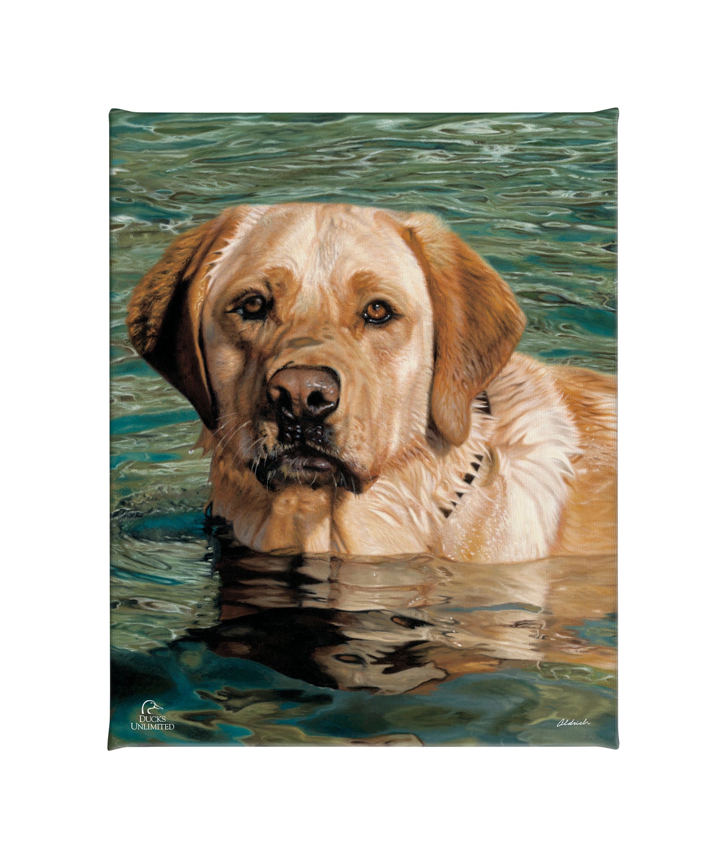 On the Job Yellow Lab Gallery Wrapped Canvas - Official Ducks Unlimited Art