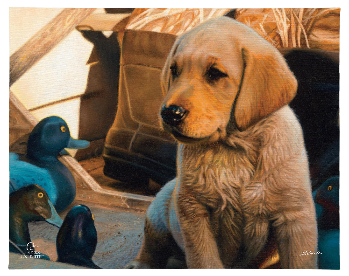 Out Numbered & Surrounded Gallery Wrapped Canvas - Official Ducks Unlimited Art