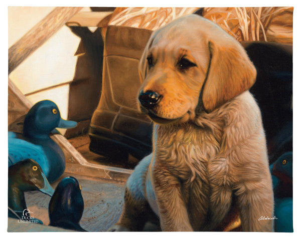 Out Numbered & Surrounded Gallery Wrapped Canvas - Official Ducks Unlimited Art