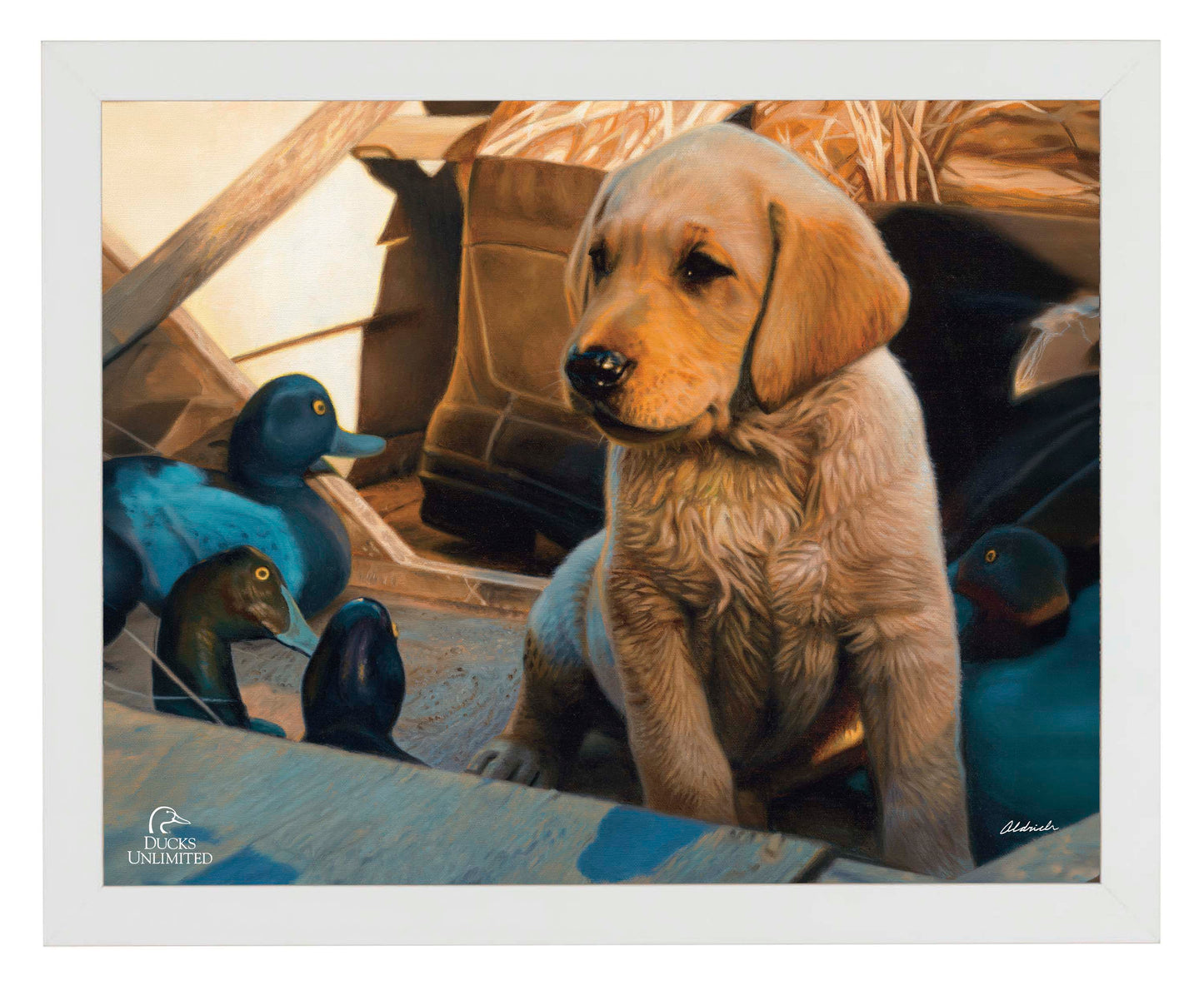Out Numbered & Surrounded Art Prints - Official Ducks Unlimited Art