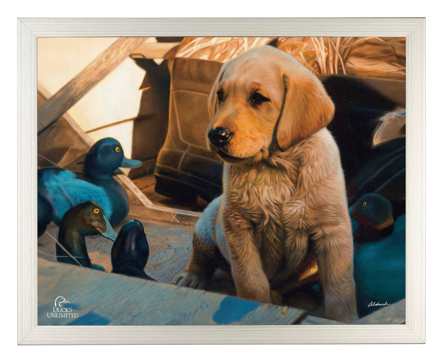 Out Numbered & Surrounded Art Prints - Official Ducks Unlimited Art