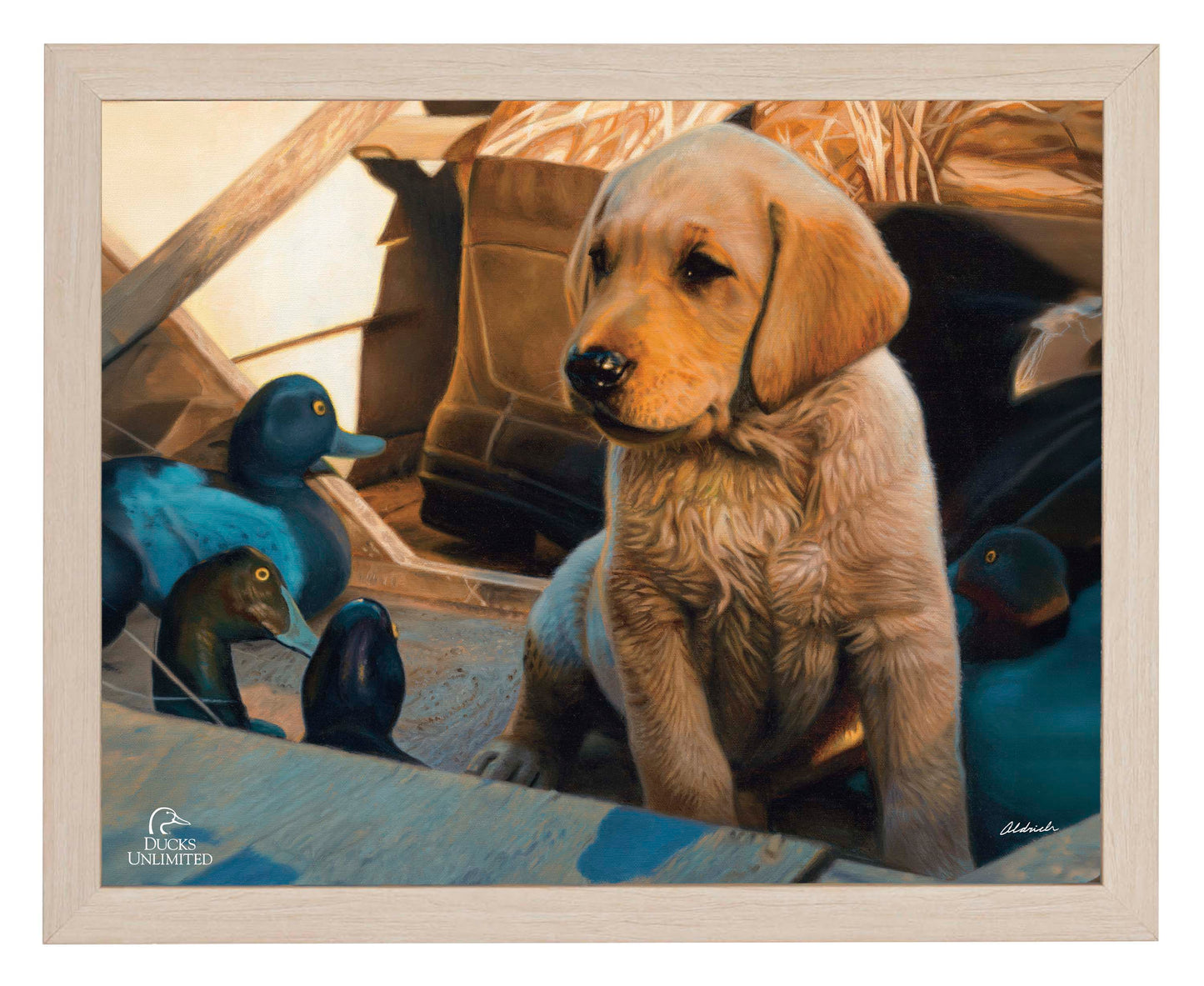 Out Numbered & Surrounded Art Prints - Official Ducks Unlimited Art