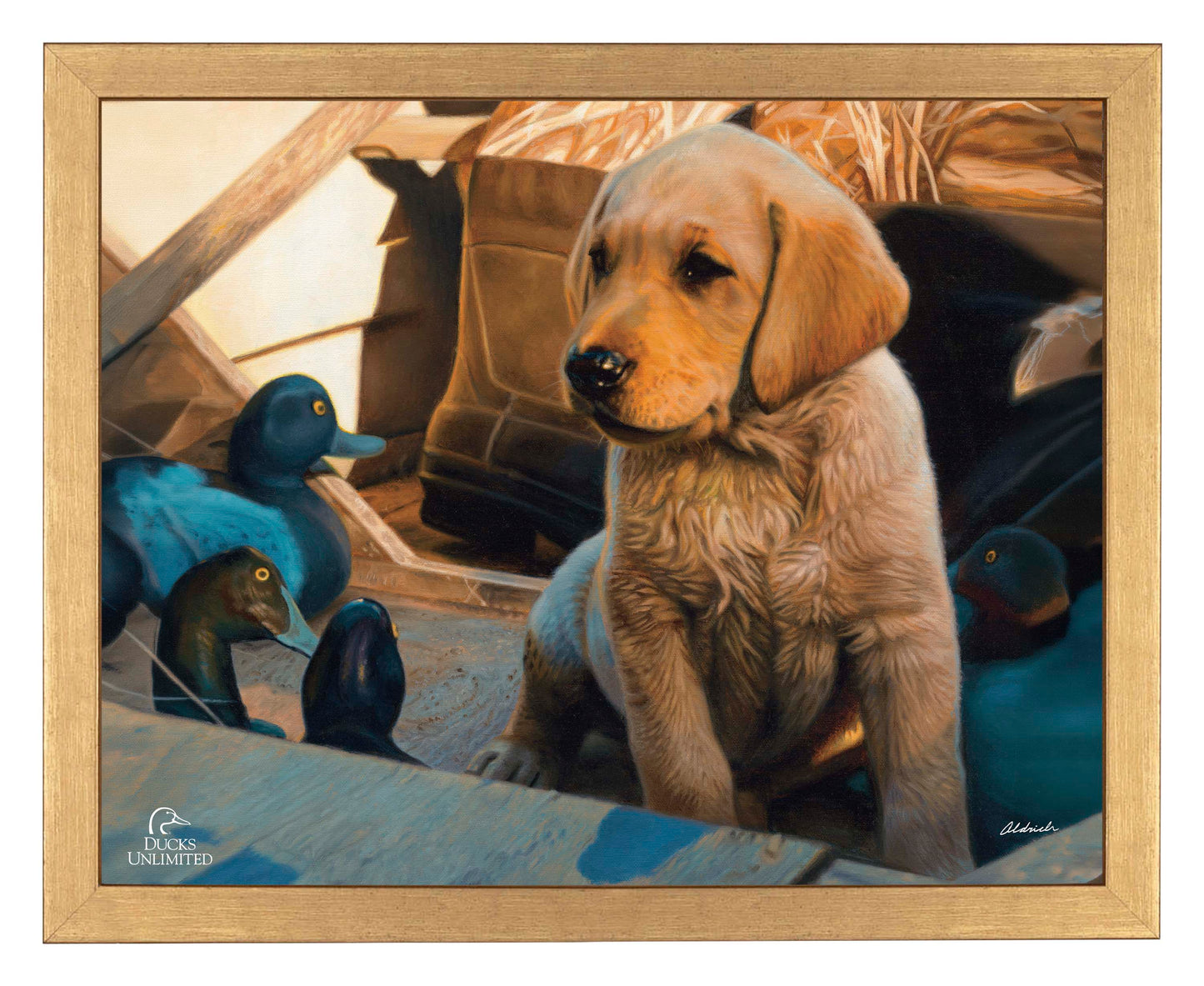 Out Numbered & Surrounded Art Prints - Official Ducks Unlimited Art