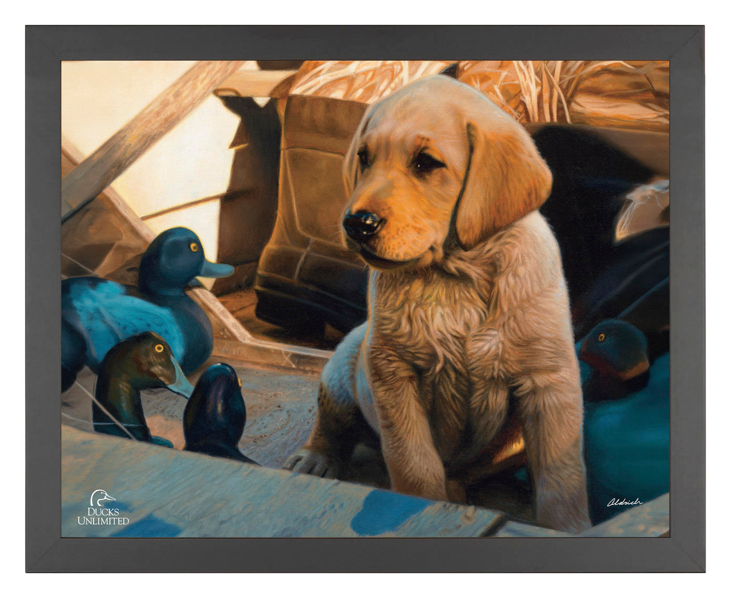 Out Numbered & Surrounded Art Prints - Official Ducks Unlimited Art