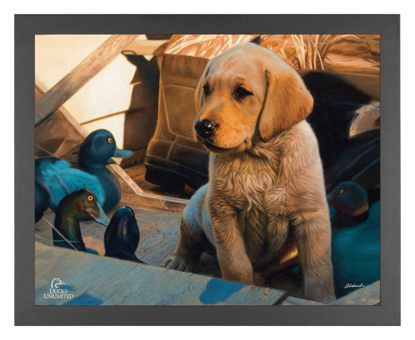 Out Numbered & Surrounded Art Prints - Official Ducks Unlimited Art