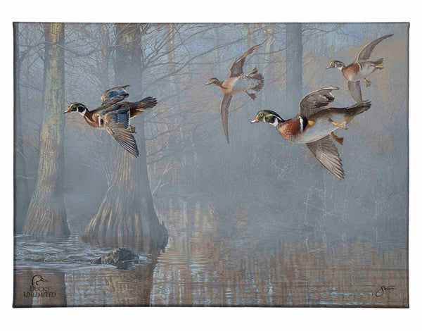 Out of the Mist - Wood Ducks Gallery Wrapped Canvas - Official Ducks Unlimited Art