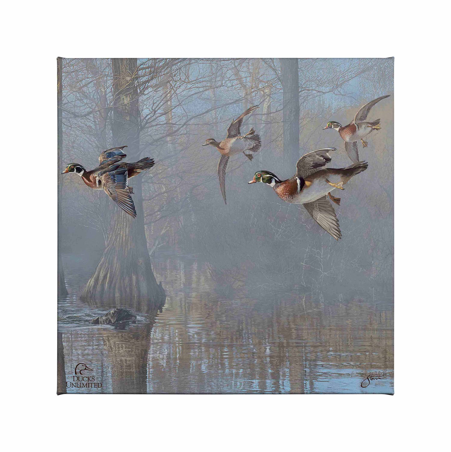 Out of the Mist - Wood Ducks Gallery Wrapped Canvas - Official Ducks Unlimited Art