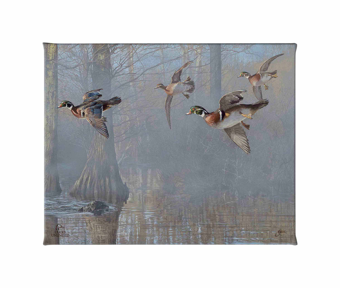 Out of the Mist - Wood Ducks Gallery Wrapped Canvas - Official Ducks Unlimited Art