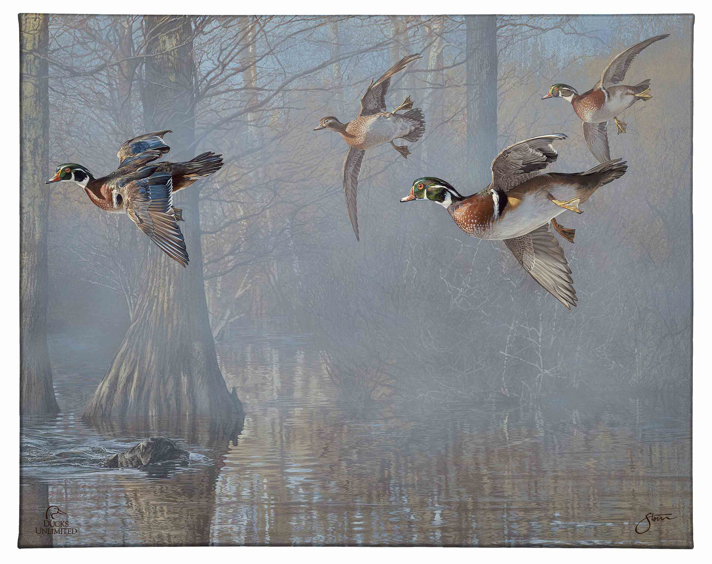 Out of the Mist - Wood Ducks Gallery Wrapped Canvas - Official Ducks Unlimited Art