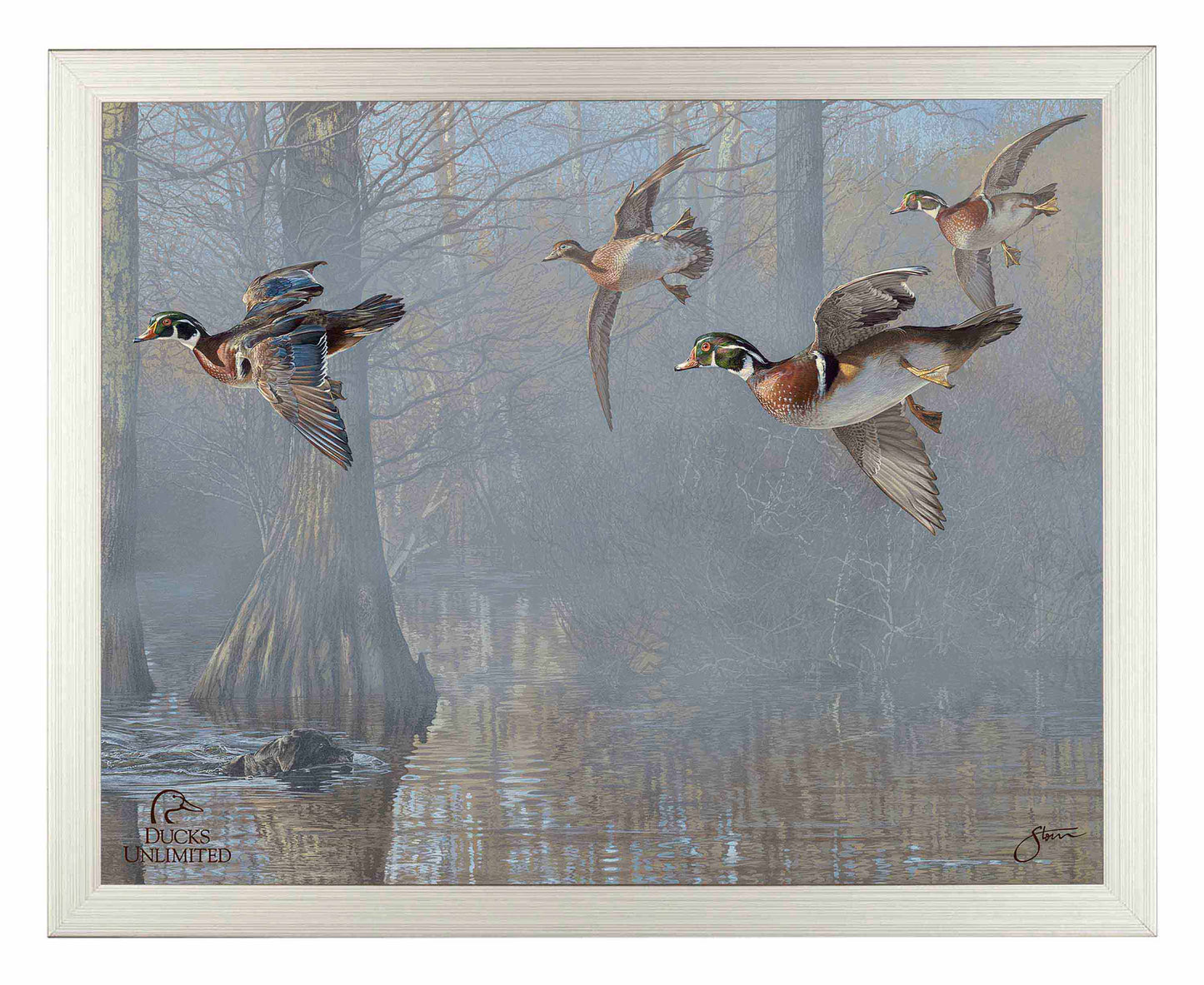 Out of the Mist - Wood Ducks Art Prints - Official Ducks Unlimited Art