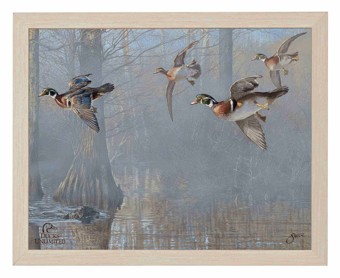Out of the Mist - Wood Ducks Art Prints - Official Ducks Unlimited Art