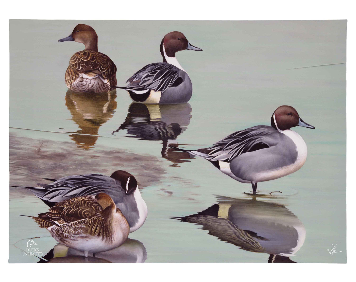 Overcast Gallery Wrapped Canvas - Official Ducks Unlimited Art