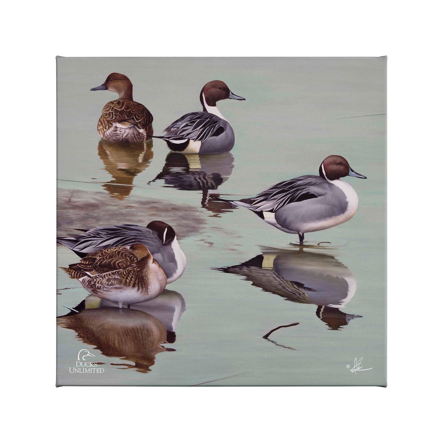 Overcast Gallery Wrapped Canvas - Official Ducks Unlimited Art