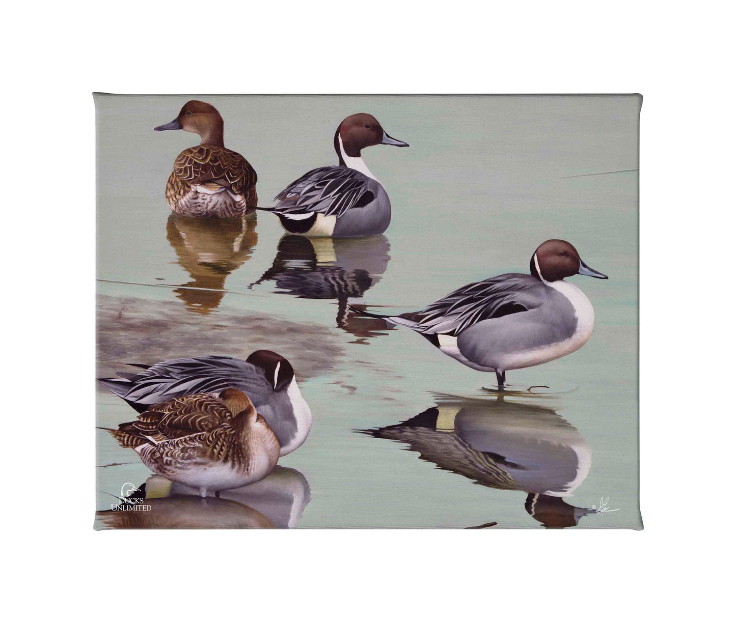 Overcast Gallery Wrapped Canvas - Official Ducks Unlimited Art