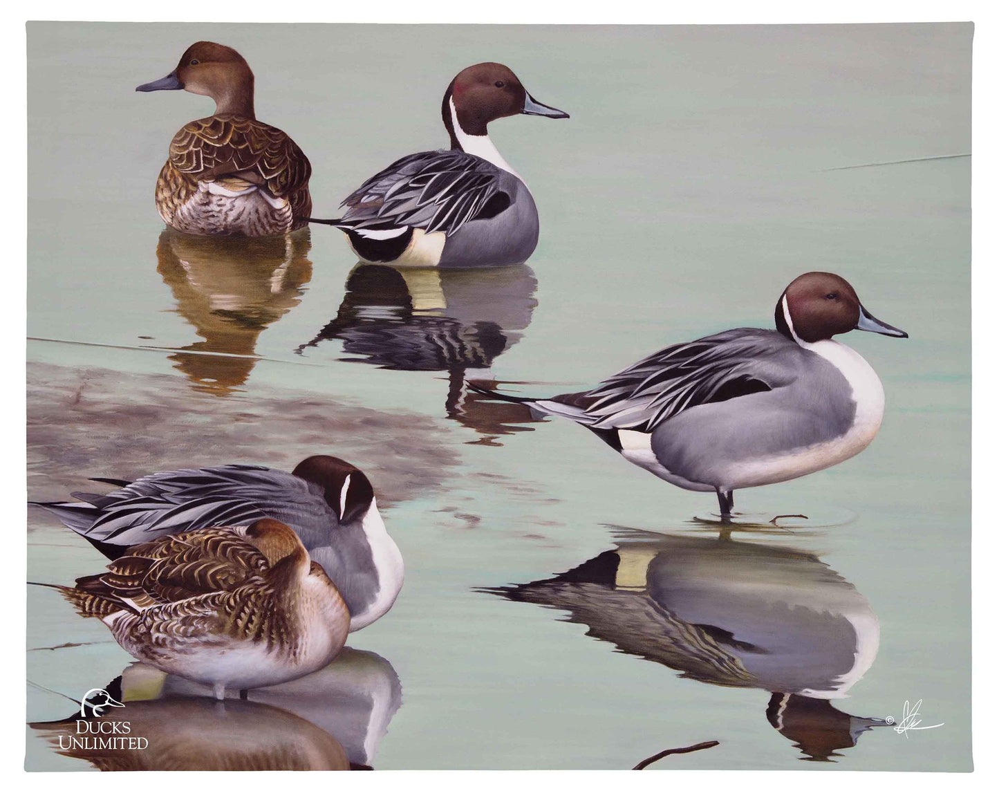 Overcast Gallery Wrapped Canvas - Official Ducks Unlimited Art
