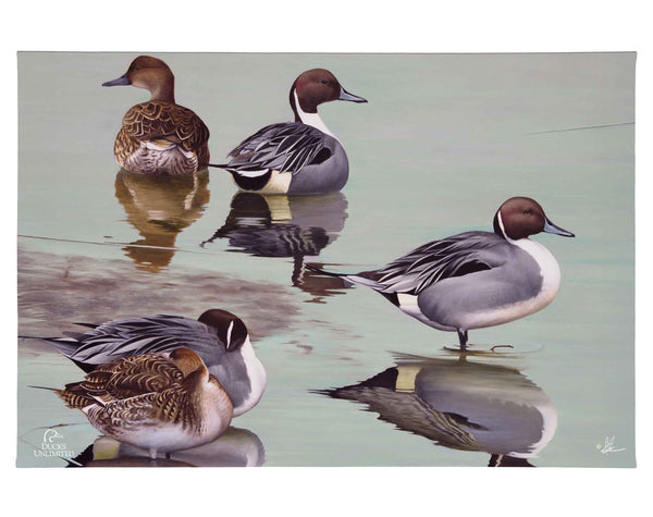 Overcast Gallery Wrapped Canvas - Official Ducks Unlimited Art