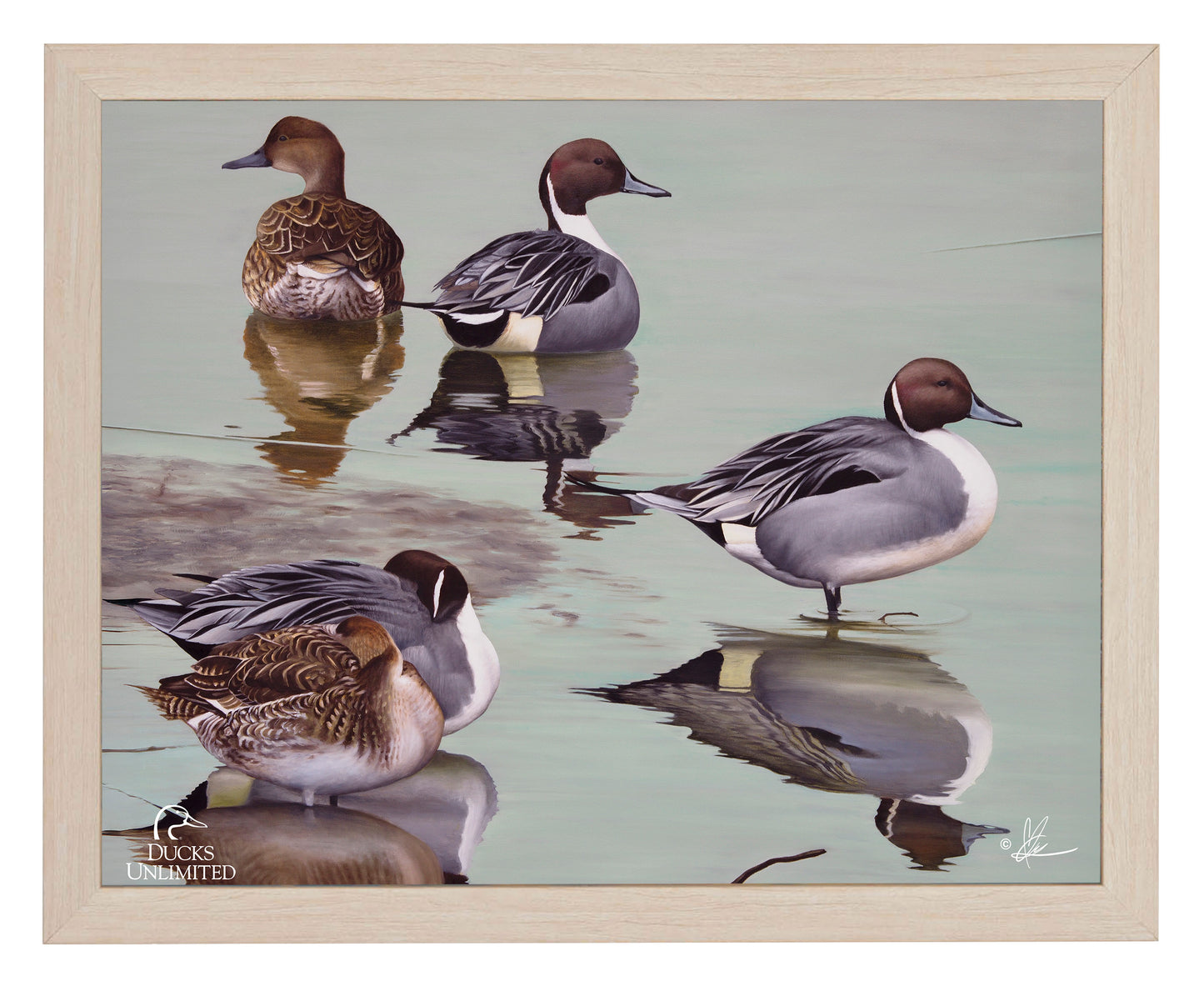 Overcast  Art Prints - Official Ducks Unlimited Art