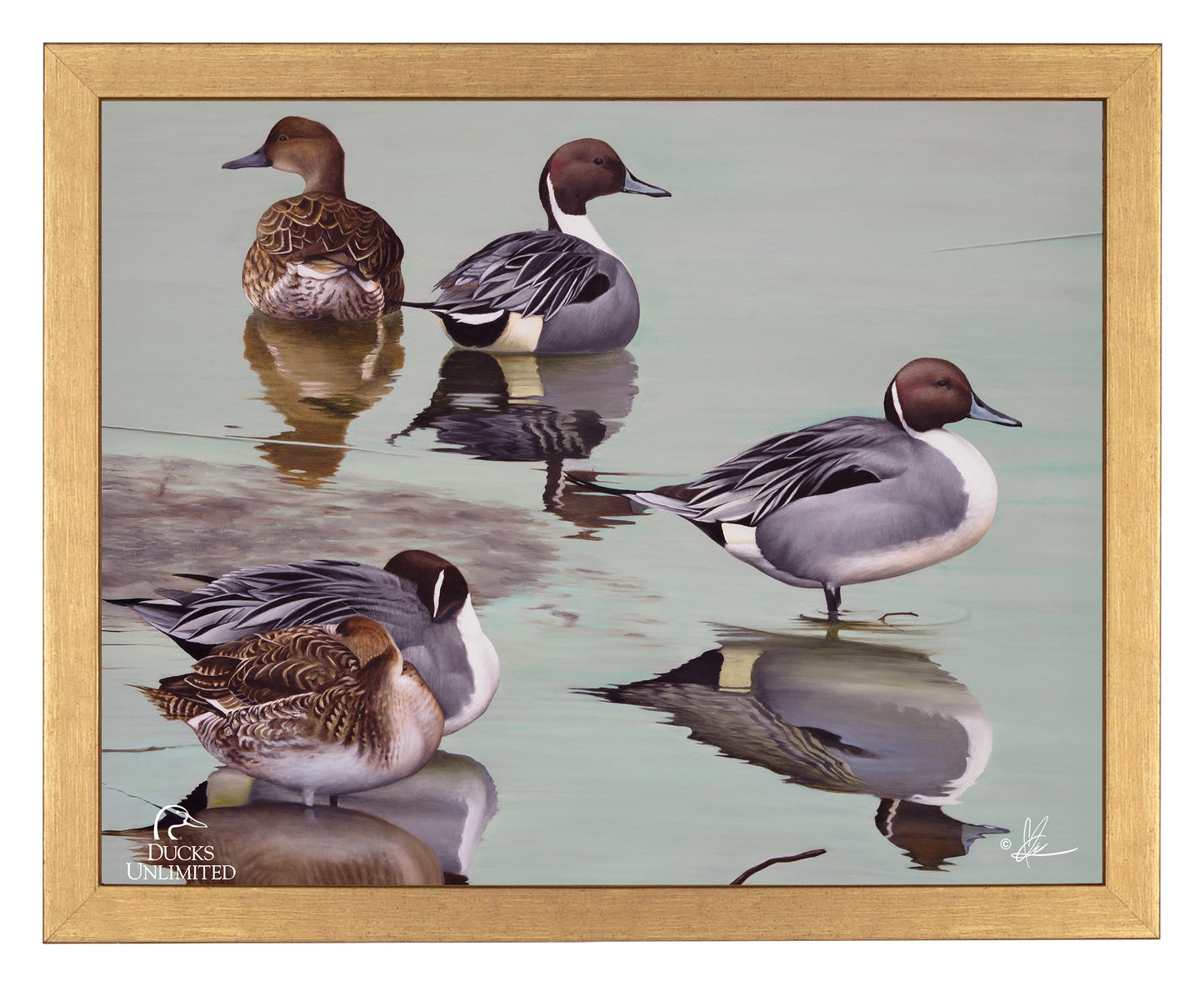 Overcast  Art Prints - Official Ducks Unlimited Art