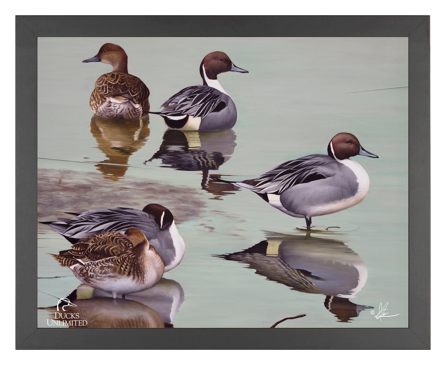 Overcast  Art Prints - Official Ducks Unlimited Art