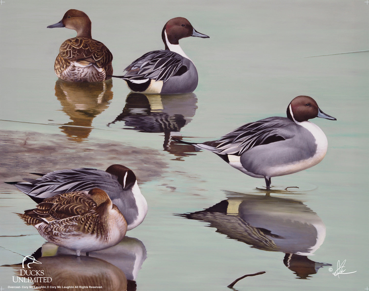 Overcast  Art Prints - Official Ducks Unlimited Art