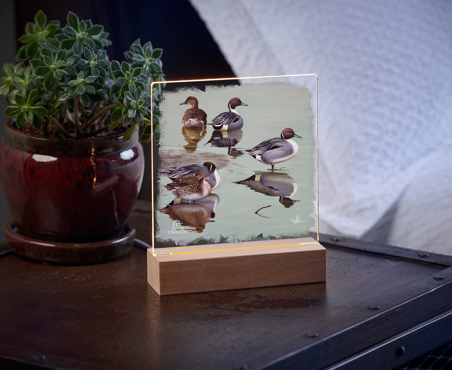 Overcast  Acrylic Night Light - Official Ducks Unlimited Art