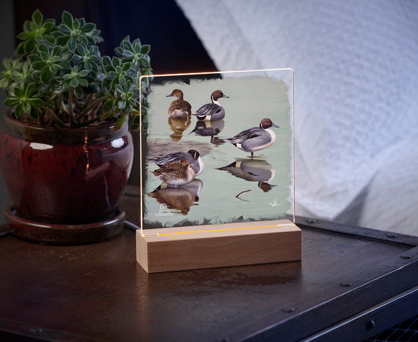Overcast  Acrylic Night Light - Official Ducks Unlimited Art
