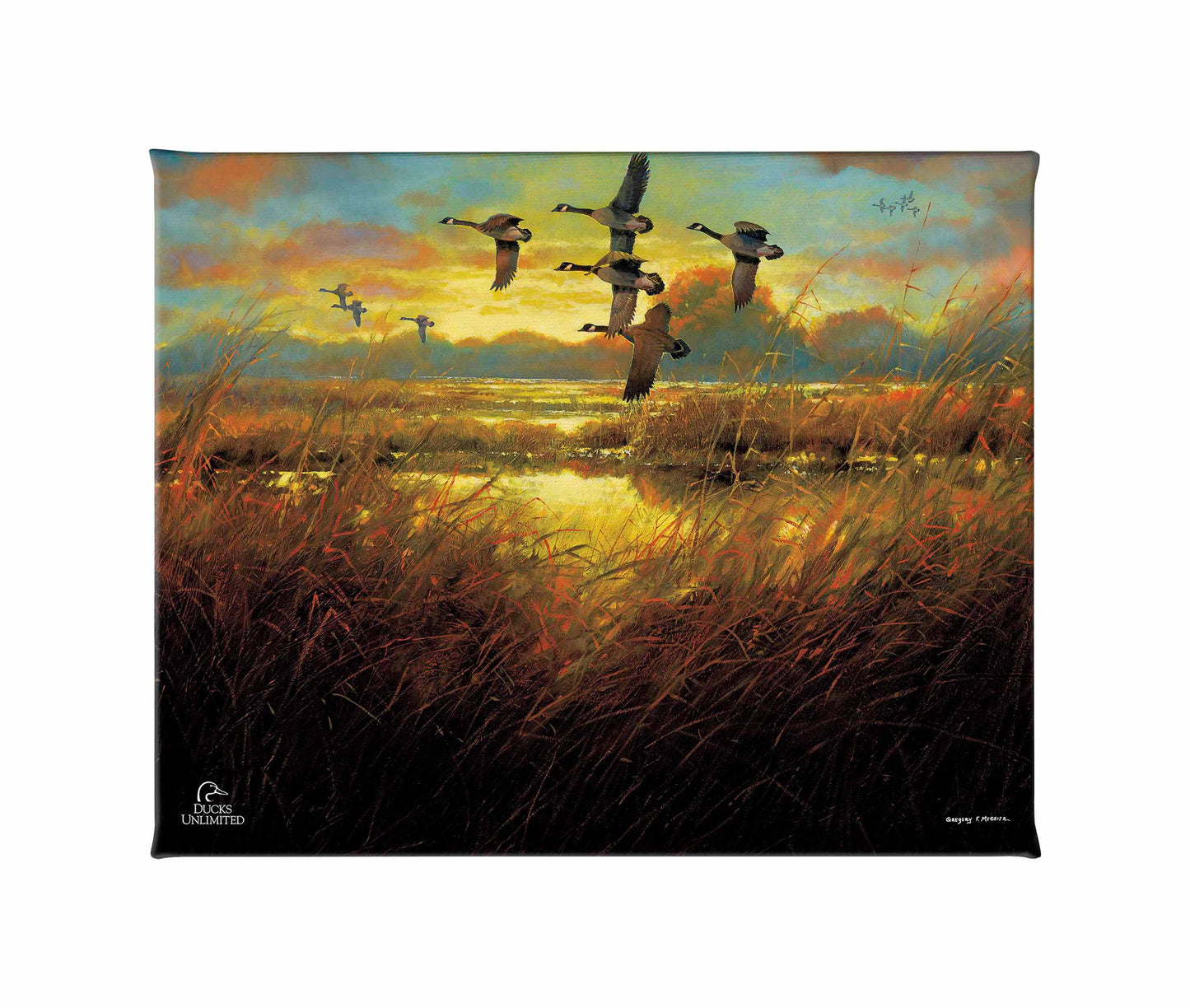 Perfect Ending Canada Geese Gallery Wrapped Canvas - Official Ducks Unlimited Art