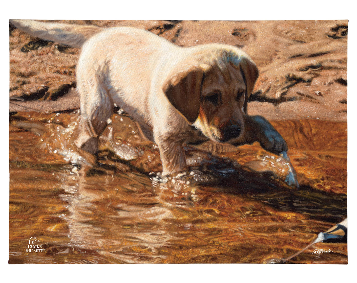 Piddle Paddle Pup Yellow Lab Gallery Wrapped Canvas - Official Ducks Unlimited Art