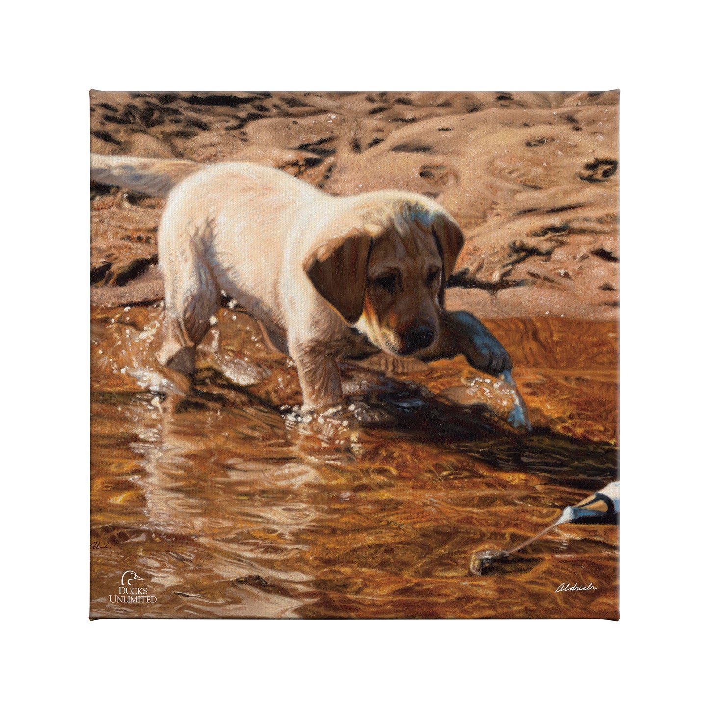 Piddle Paddle Pup Yellow Lab Gallery Wrapped Canvas - Official Ducks Unlimited Art