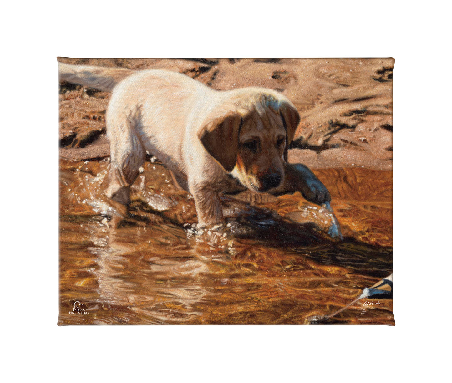 Piddle Paddle Pup Yellow Lab Gallery Wrapped Canvas - Official Ducks Unlimited Art