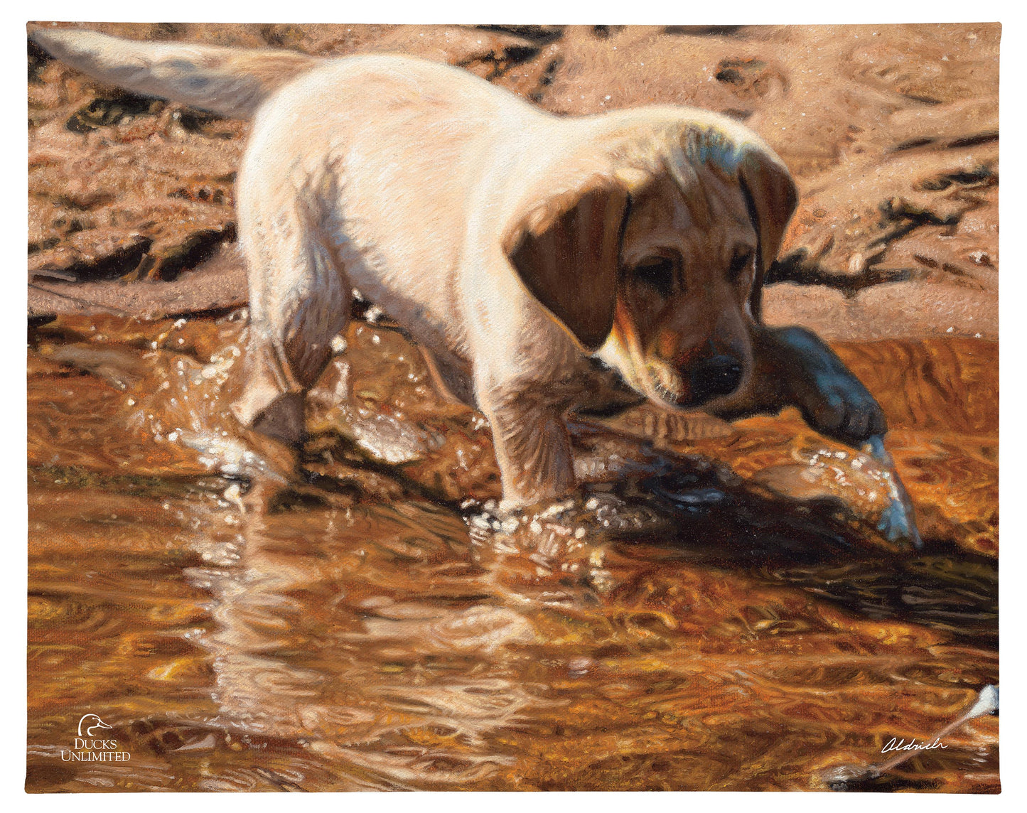Piddle Paddle Pup Yellow Lab Gallery Wrapped Canvas - Official Ducks Unlimited Art