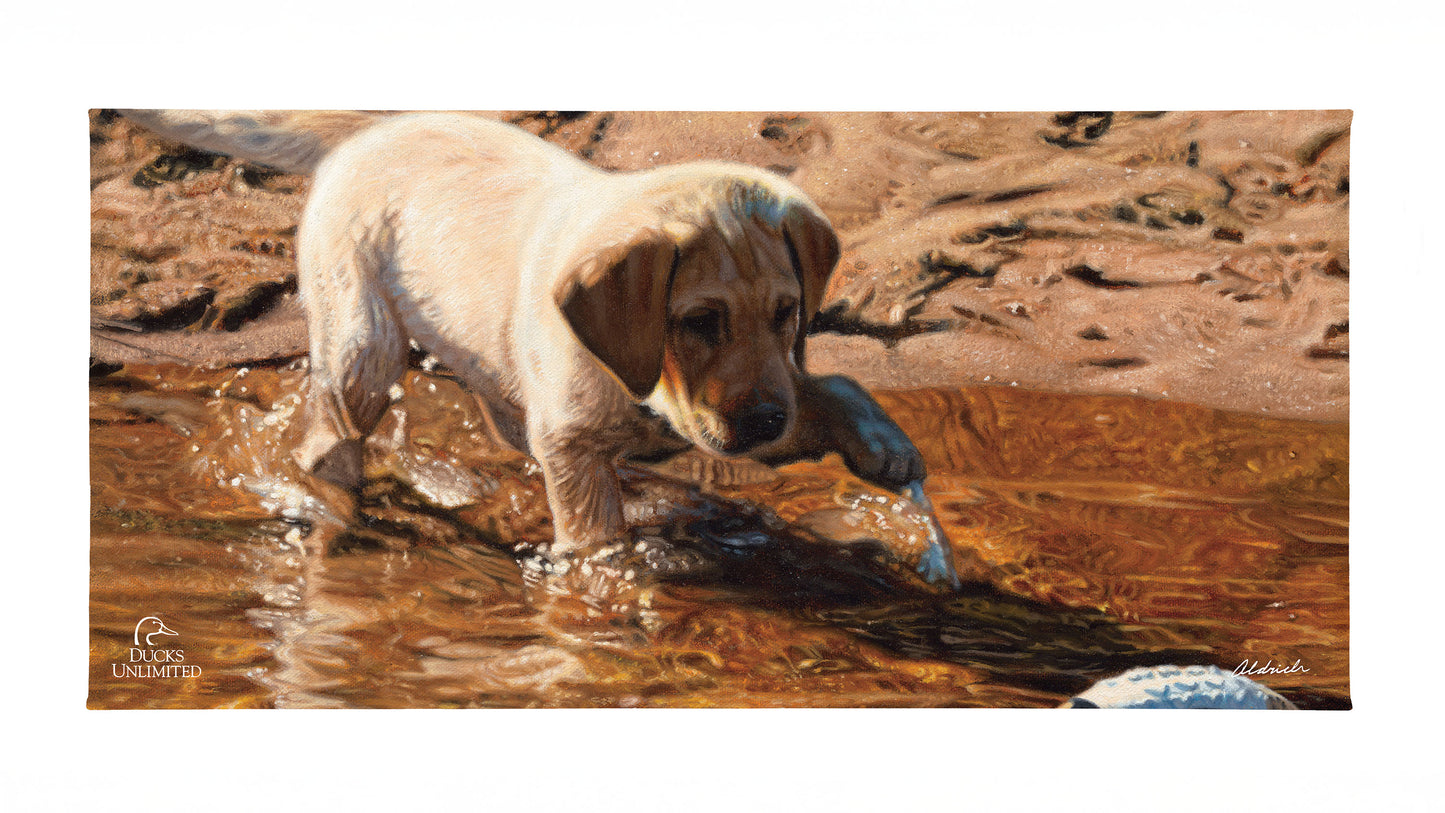 Piddle Paddle Pup Yellow Lab Gallery Wrapped Canvas - Official Ducks Unlimited Art