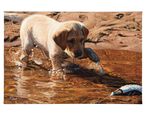 Piddle Paddle Pup Yellow Lab Gallery Wrapped Canvas - Official Ducks Unlimited Art