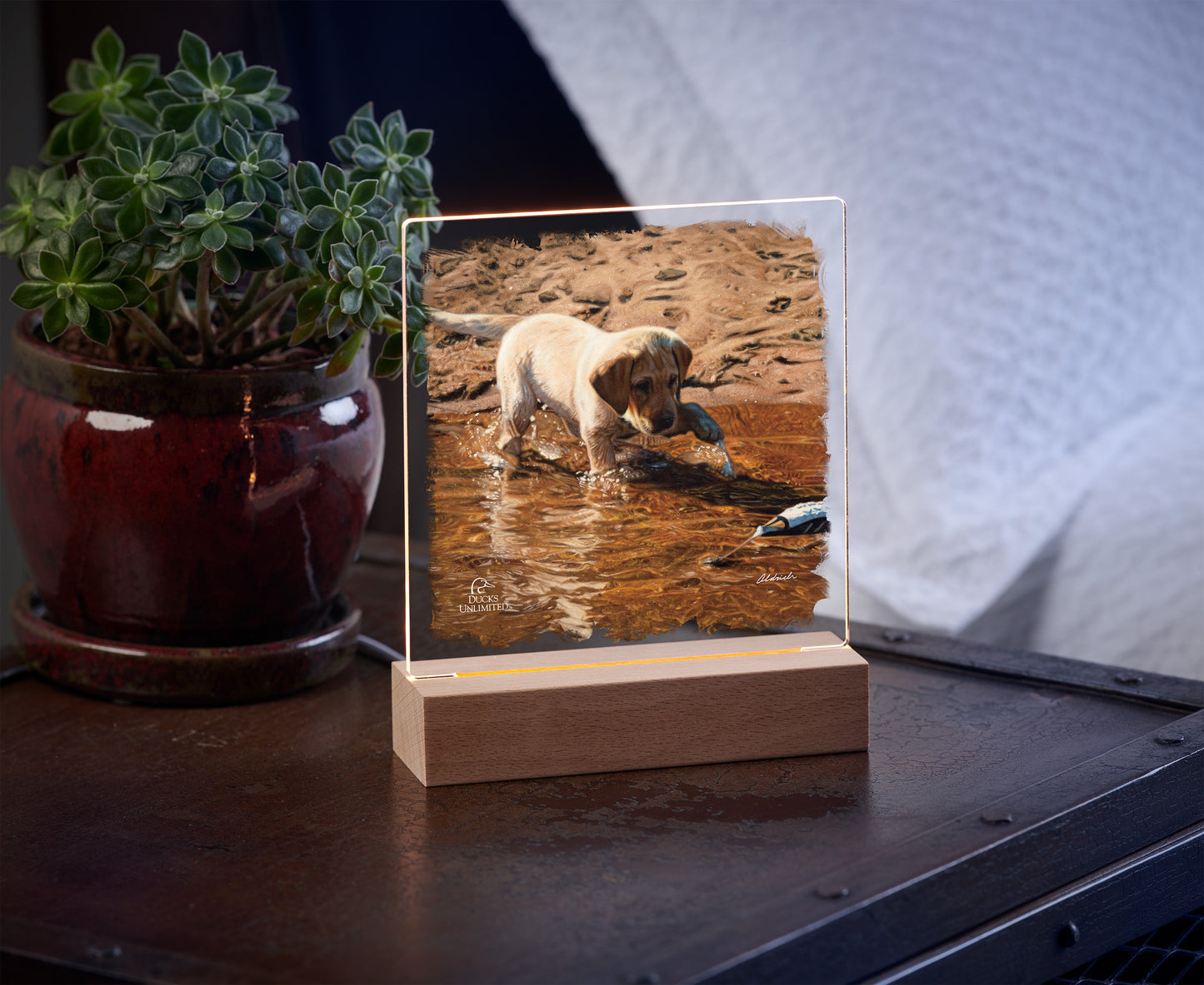 Piddle Paddle Pup  Yellow Lab  Acrylic Night Light - Official Ducks Unlimited Art