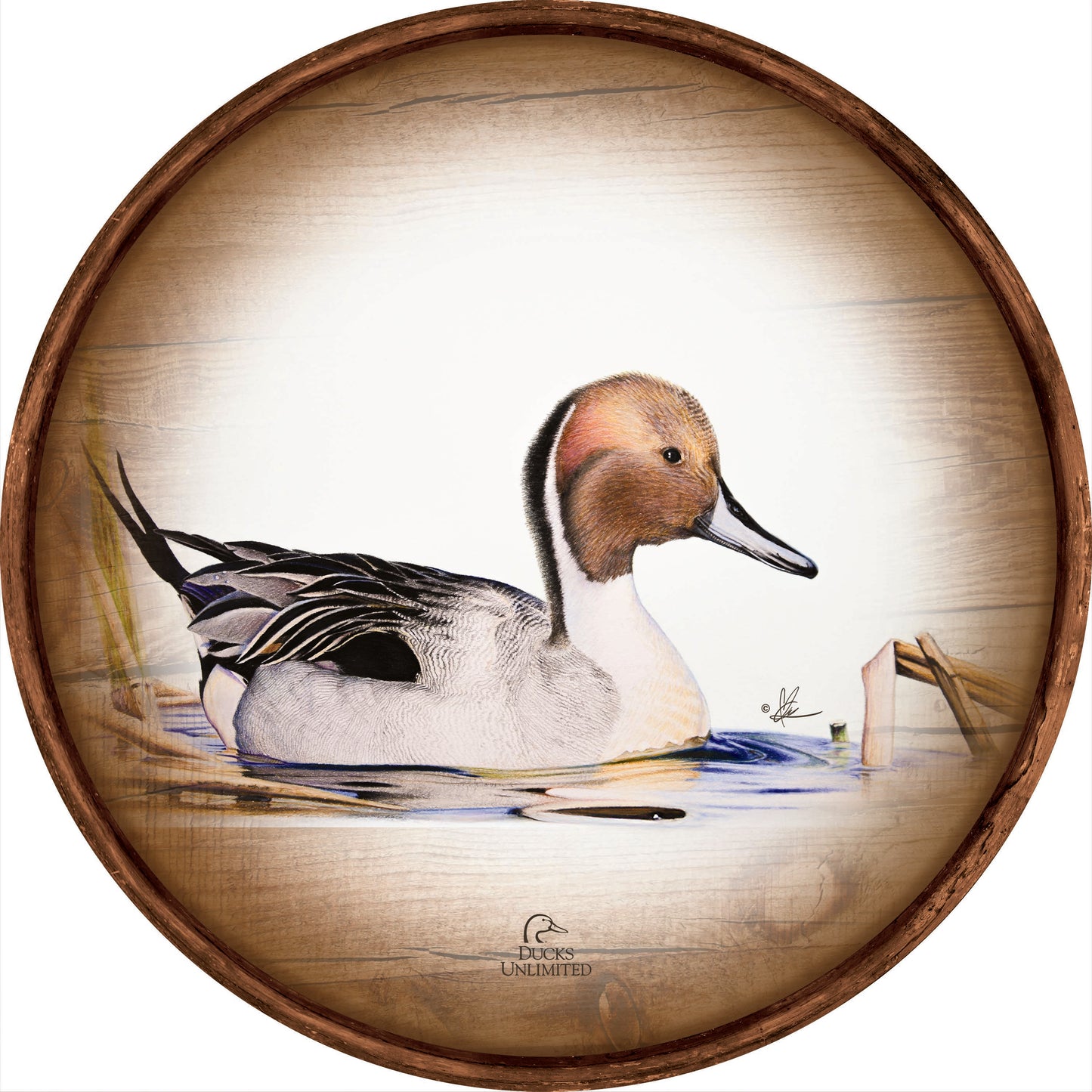Pintail  21" Round Wood Sign - Official Ducks Unlimited Art