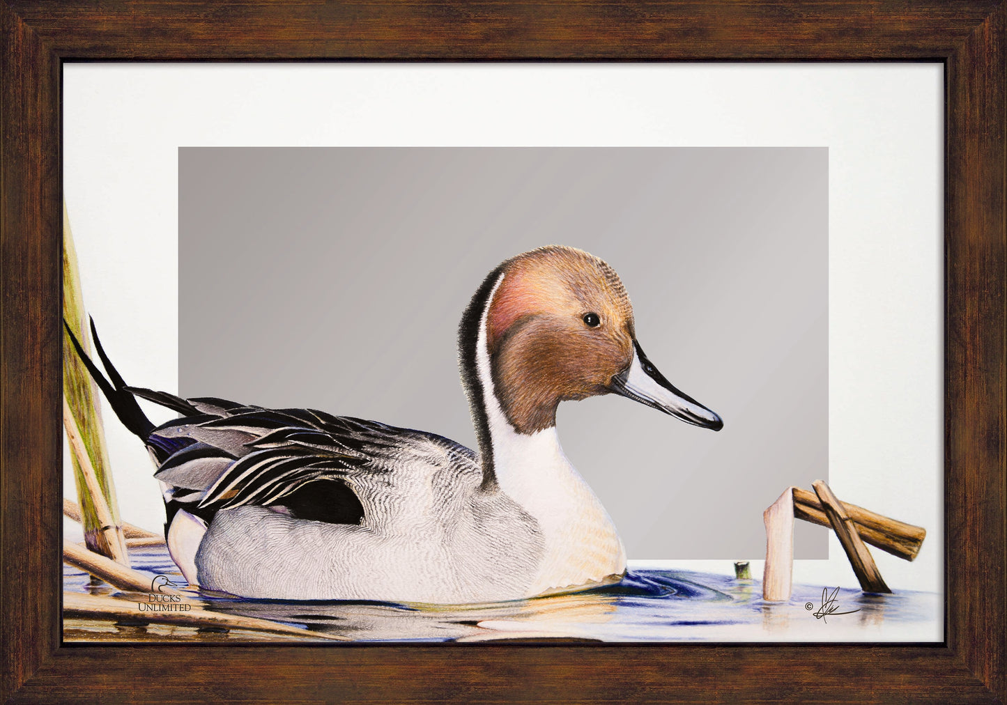 Pintail  16" x 24" Mirror Framed Barnwood - Official Ducks Unlimited Art