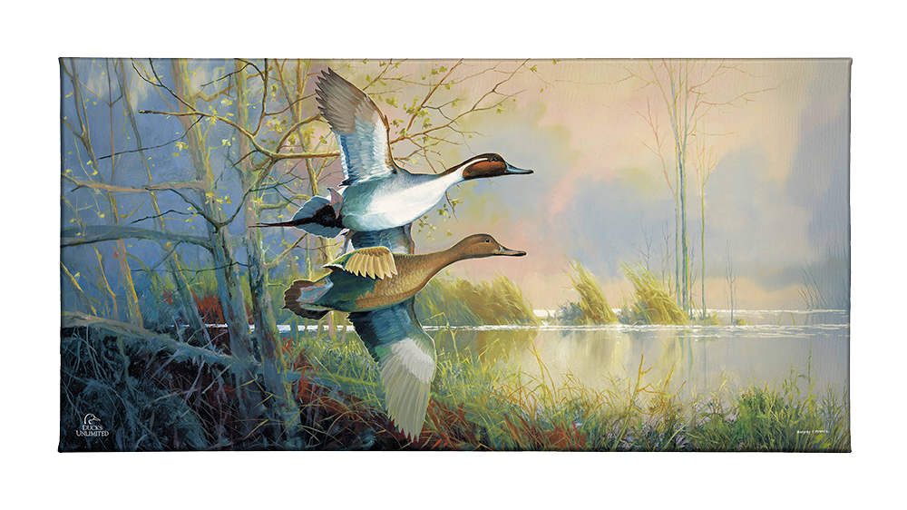 Pintails Gallery Wrapped Canvas - Official Ducks Unlimited Art