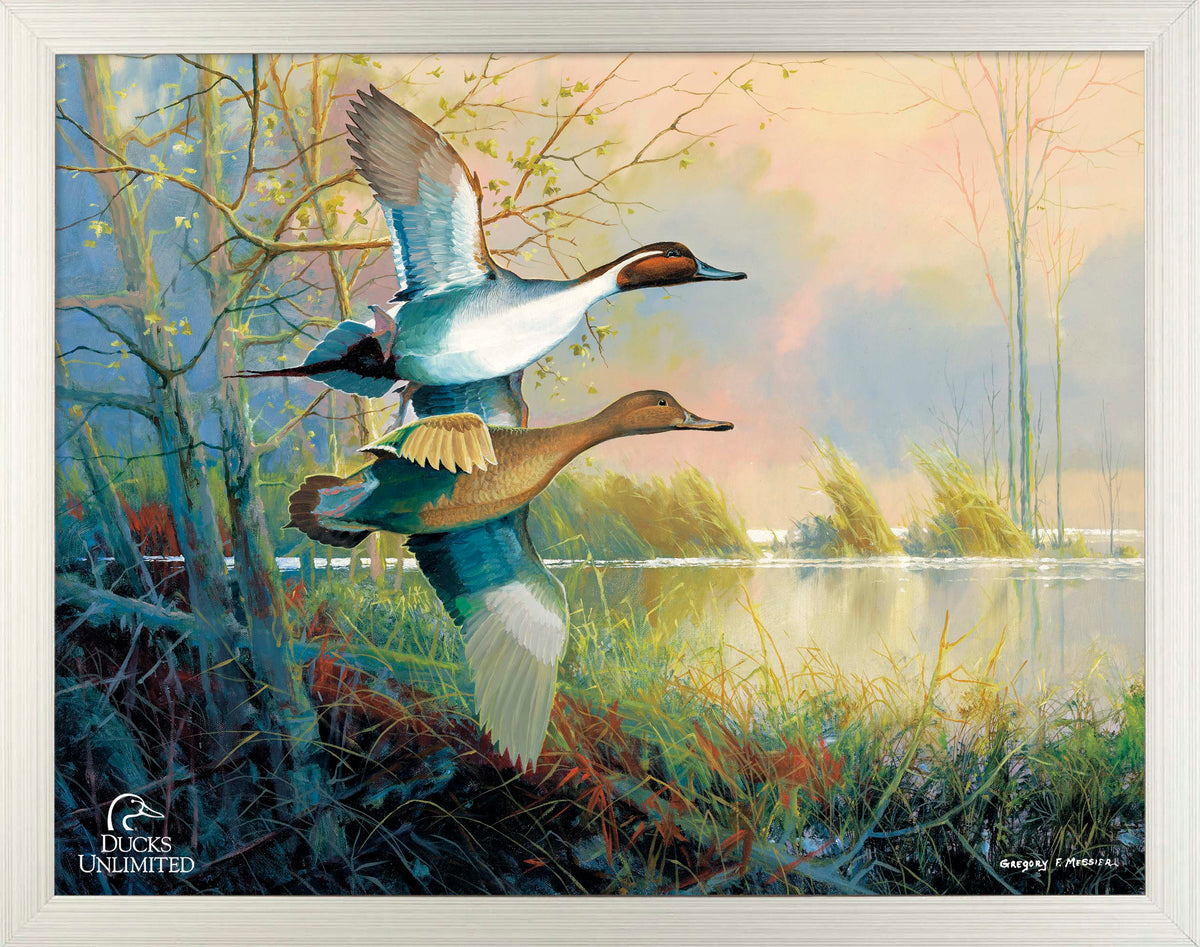 Pintails Art Prints - Official Ducks Unlimited Art